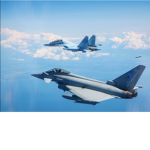 typhoon fan club
