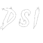 DSI l Community