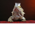 Lizard Kingdom UNITY