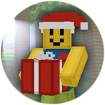 Found a Present!
