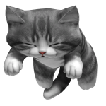Cute Sleeping Cat Kitten on Head - Grey [3.0]