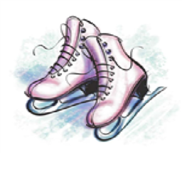 Ice Skating Academy