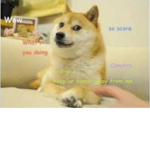 Join this if u love doge