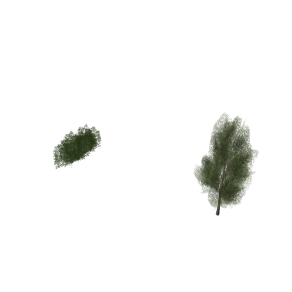 Tree's