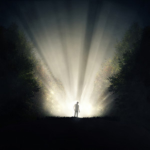 Shining Greatly