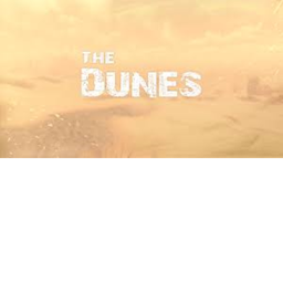 The Desert war