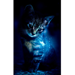 Catsss are cuteeeeeee!!!