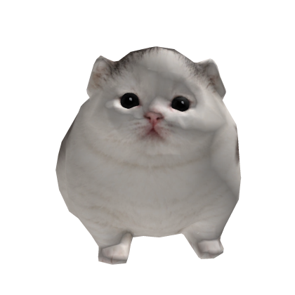 Cute White Kitten - Fat Tagoh Cat [Hat]