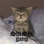 Shishi Gang