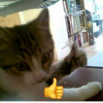 destructionn