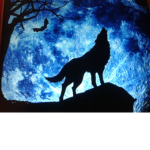 Star wolf night