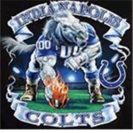 The Indianaplous Colts Group