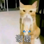 JJanynomus