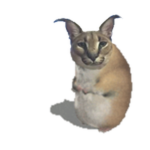 Floppik