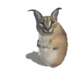 Floppik