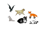 We Are Animals