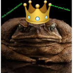 Toads kingdom of freedom