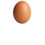 The Egg Farmers