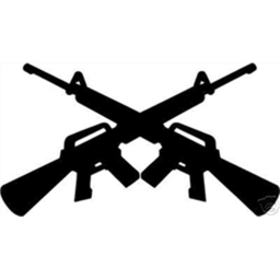 gun games 🚻