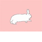 De Bunny Sqaud