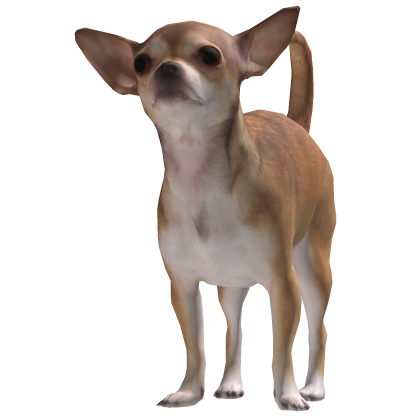 Chihuahua Roblox item