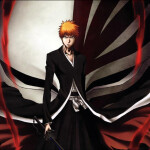Bleach Project [Discontinued]