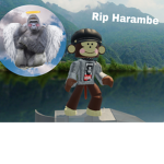 Harambe Supporter Monkey’s