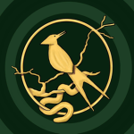 Mockingjays of Panem