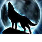World wide Wolfpack
