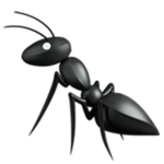 +Amazing Ants+