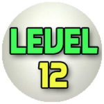 Level 12