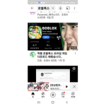 로블뤅스