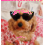 ~!lou's Closet!~