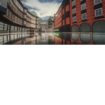 라이온 교도소 ll Lion Prison