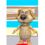 AMNGUSHACKERS