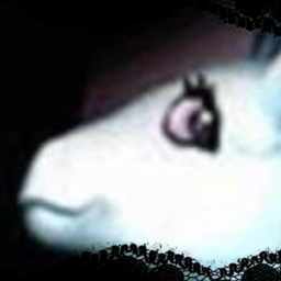 ╋━