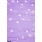 Purple Lavenders <3