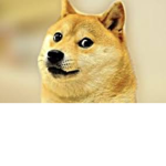 Dog Gang Offical Group