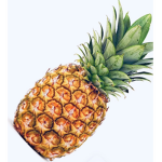 Pineapple are good for you eat it