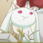 Support cats Army