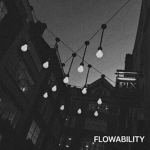 FLOWABILITY
