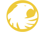 Birds 0f Prey