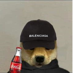 THE BOYS/DRIPPED OUT DOGES/COOL DUDES