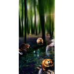 Angry Beavers United