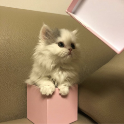 ♡