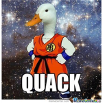 SpaceDuck Studios