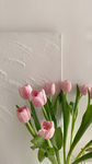 ~TuLiP-DaNcE-tDc~