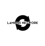 Lamings Network LTD