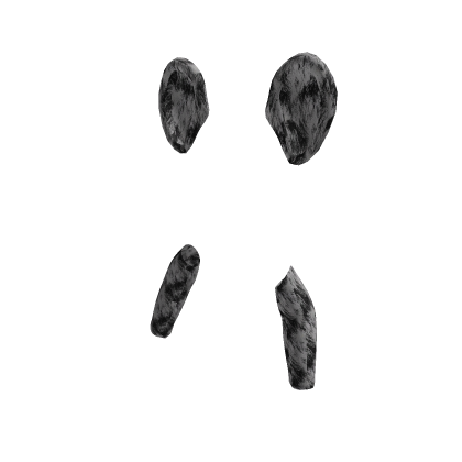 Object_338