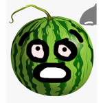 Watermelon Studio’s